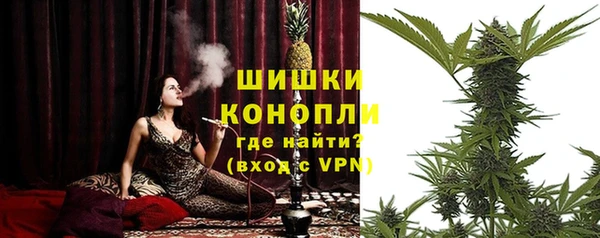 МДПВ Верхний Тагил